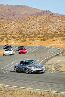 media/Dec-28-2024-Extreme Speed (Sat) [[dd5bc3b342]]/White Group/Session 2 (Turns 4 and 6)/
